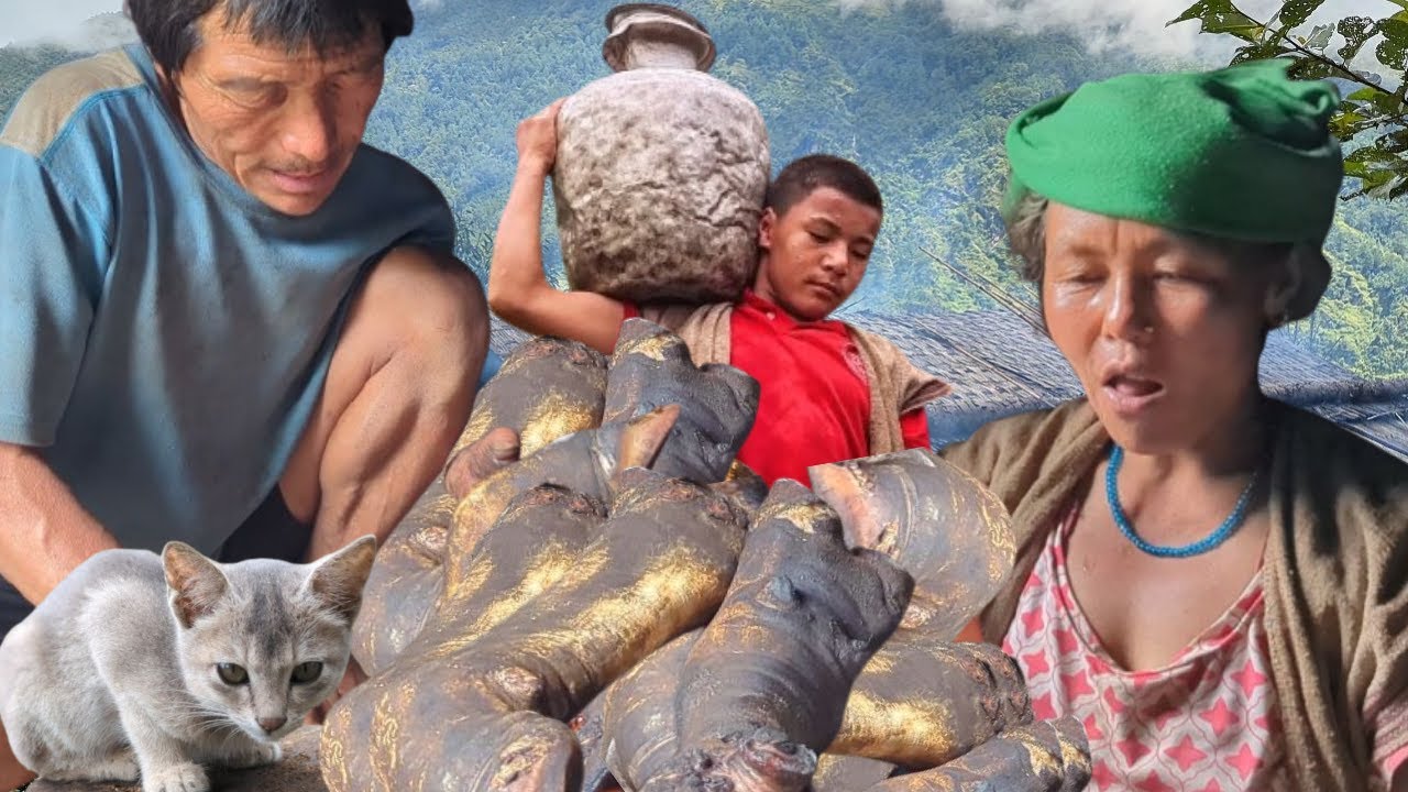Rural struggles and survival Happy family | Routine Of Rural.