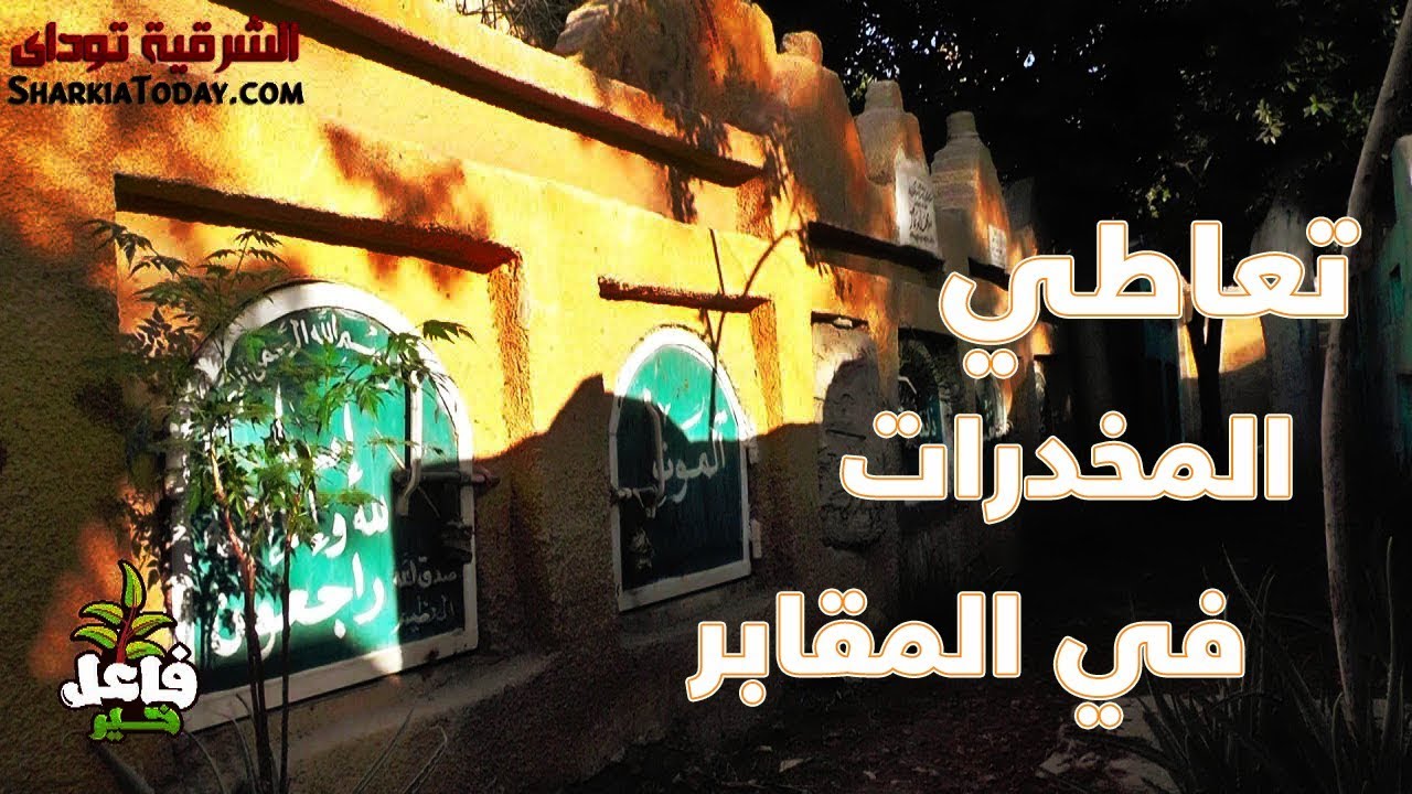 تعاطي المخدرات في مقابر قرية الزعيم أحمد عرابي