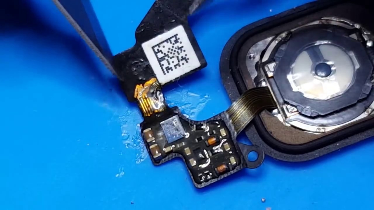 Востановление шлейфа home (touch id) на 5s