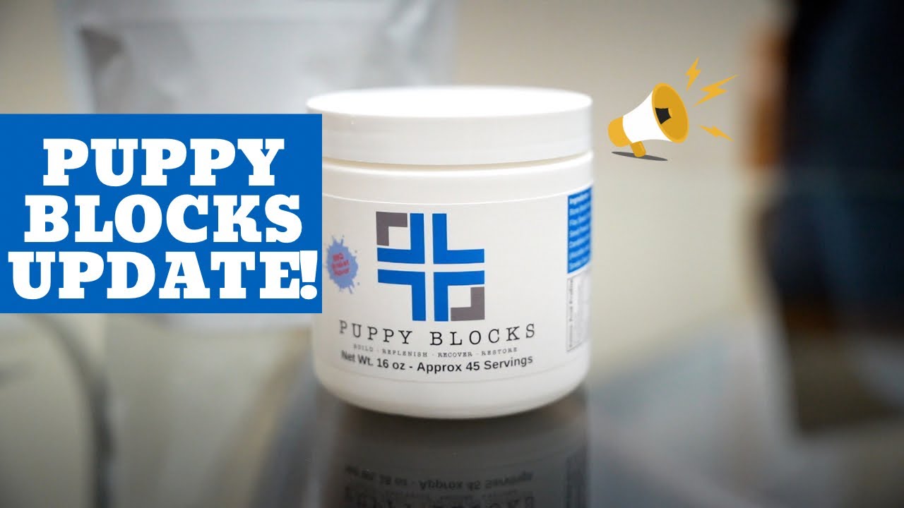 Dog Supplement Business: Behind the Scenes