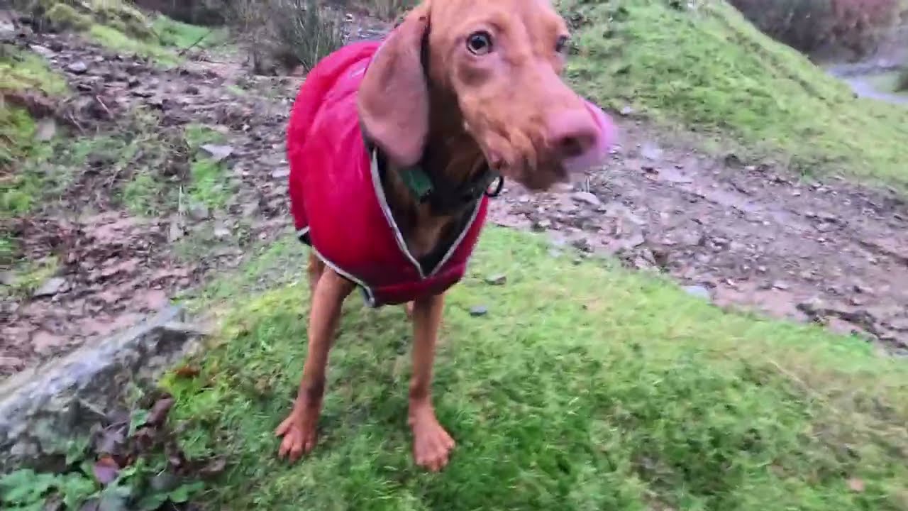 The Rain Didn’t Stop Us - And We Found Something Worth Coming Back For