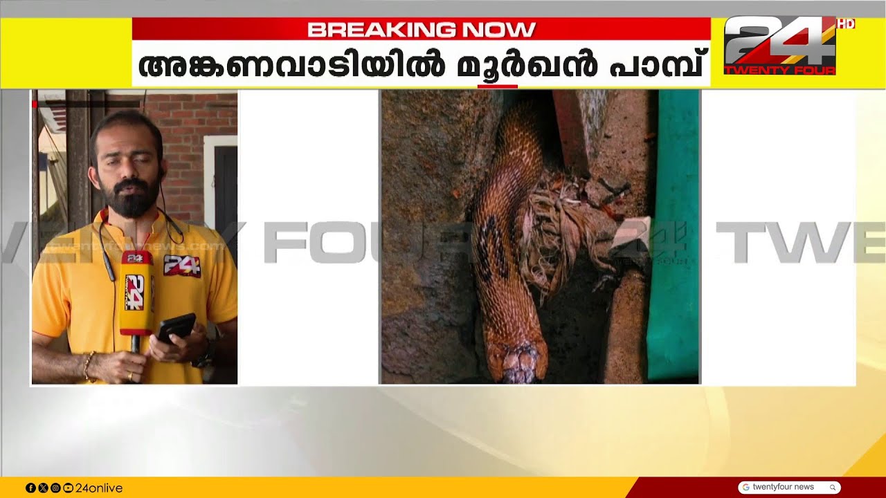 നിലമ്പൂരിൽ അംഗനവാടിയിൽ മൂർഖൻ പാമ്പ്; അംഗനവാടിയിൽ നിന്ന് പാമ്പിനെ പിടികൂടി