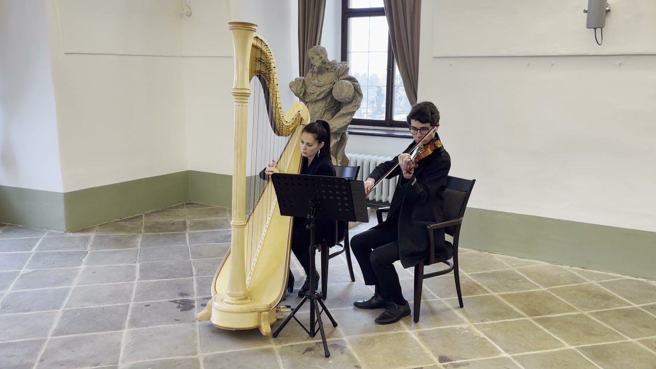 Just the Way You Are (Bruno Mars) - Simona Voříšková (harp & violin cover)