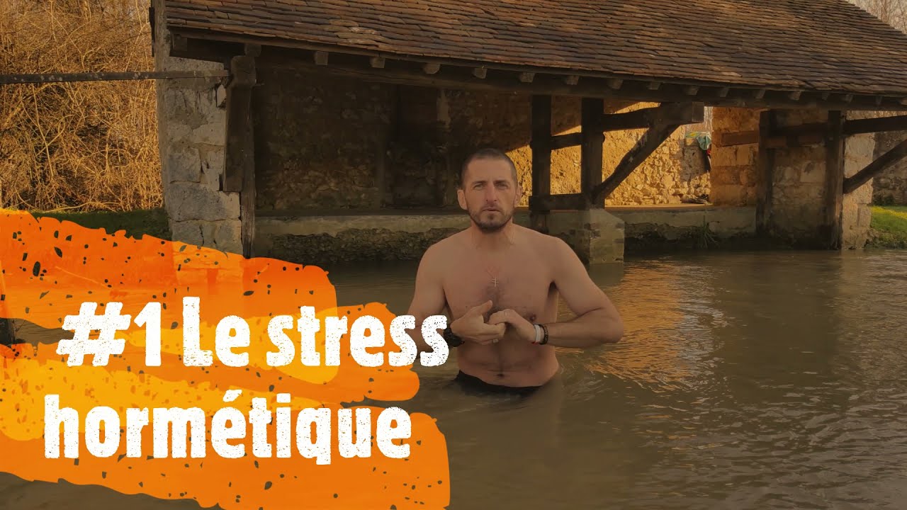 #1 Le stress hormétique