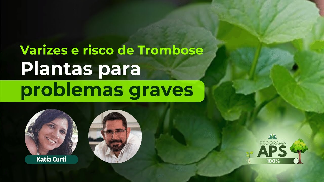 VARIZES E RISCO DE TROMBOSE : Plantas para problemas GRAVES!