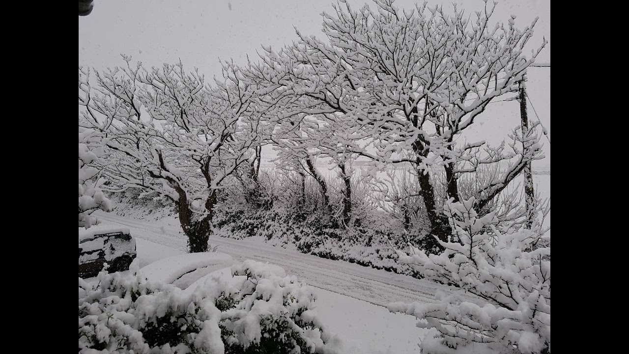 A Winter Song (Snuggle)