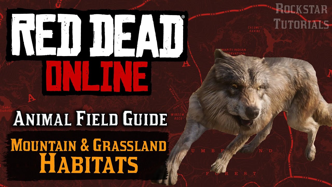 Red Dead Online: All Mountain & Grassland Habitats (Animal Field Guide)