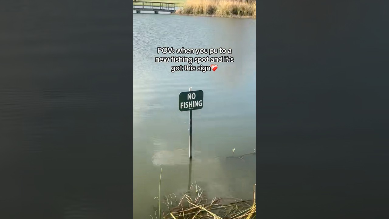 Лучшие места для рыбалки выглядят примерно так 💀