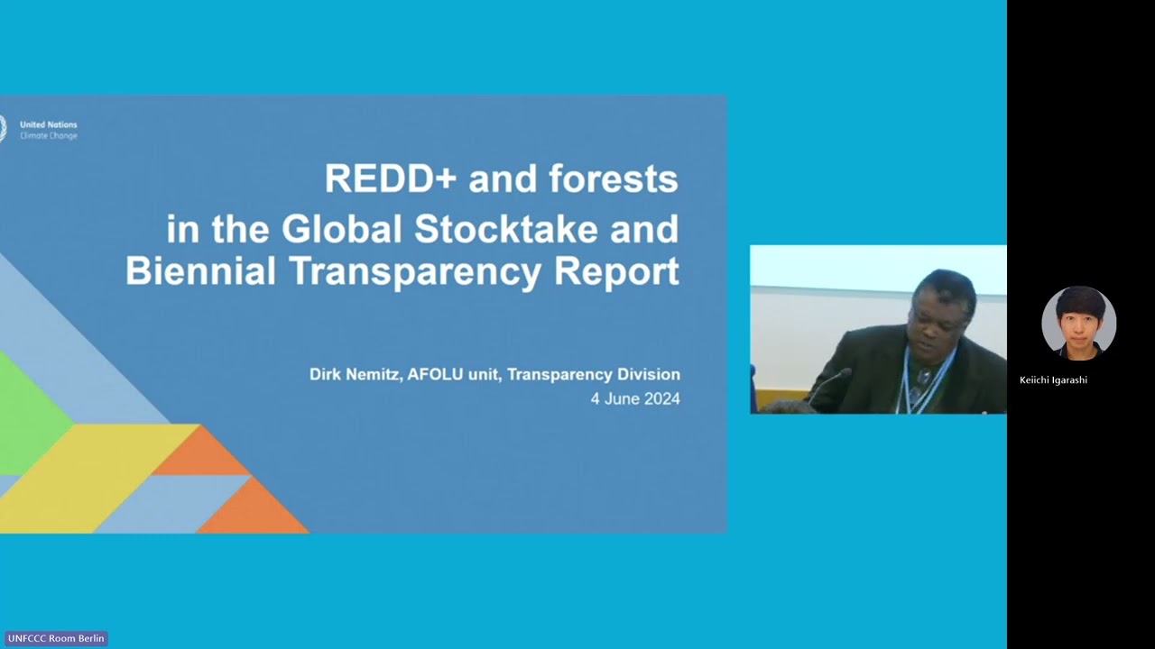 REDD+ and forests in the Global Stocktake and Biennial Transparency Reports