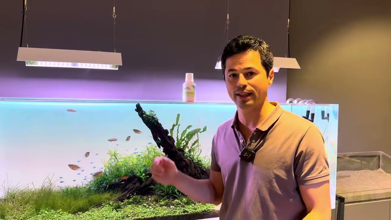 Cómo eliminar la Cianobacteria 🦠 OASE green and blue algae remover