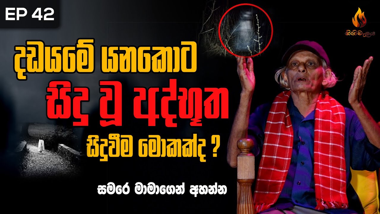 දඩයමේ යනකොට සිදු වූ අත්භූත සිදුවීම මොකක්ද? | ගිනිමැළය | EPISODE 42