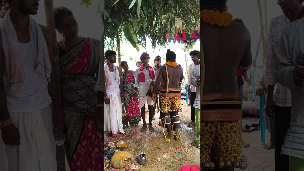 ⚔️తిరుమలపురం 🕉️ లింగం స్వామి 🕉️ మల్లన్న స్వామి 🕉️ సిగం ⚔️🕉️