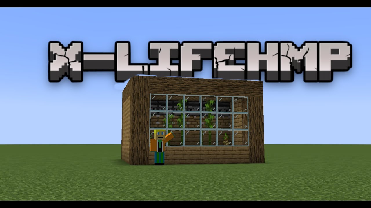 Bambuku ferma | X-LIFEHMP