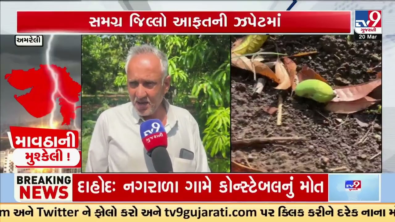 Unseasonal Rain Destroys Mango Crops in Gujarat Farmers in Crisis | Gujarat | TV9Gujarati