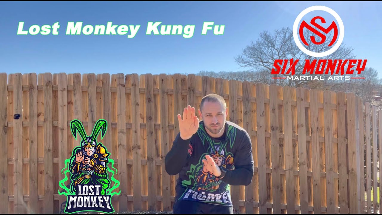 Lost Monkey Kung Fu: The Secret of Effective Self-Defense