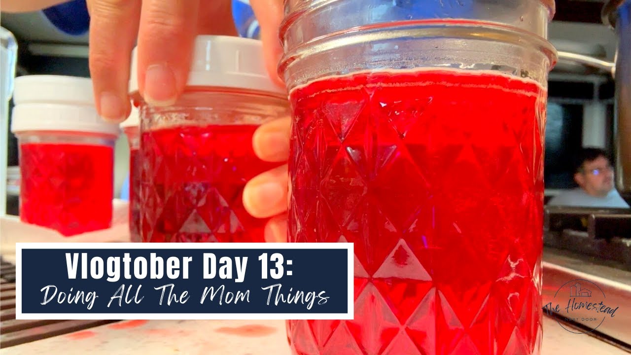 VLOGTOBER DAY 13: DOING ALL THE MOM THINGS