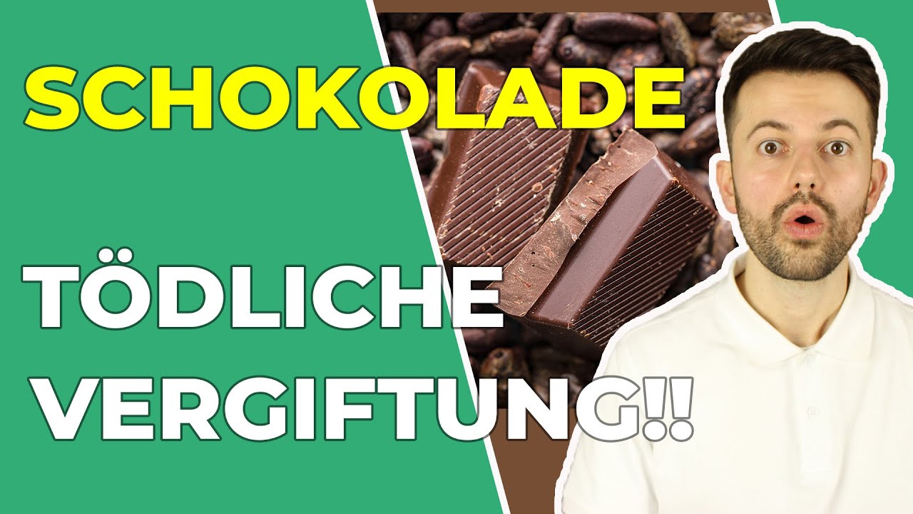 Schokolade ist tödlich für Hunde: Was tun bei Vergiftung mit Schokolade??