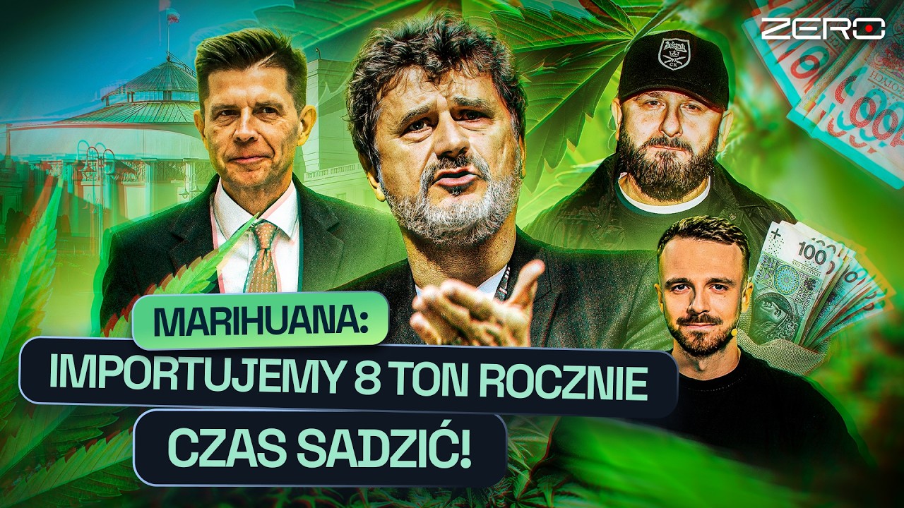 ZAGRANICZNI PRODUCENCI, MARIHUANA I POTĘŻNE PIENIĄDZE. DLACZEGO POLSKA NIE ZARABIA NA UPRAWACH?