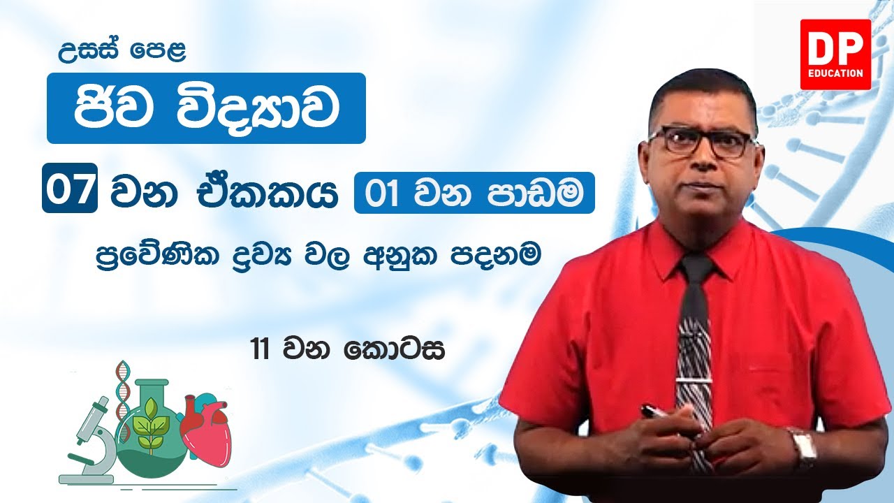 07 වන ඒකකය | 01 වන පාඩම  -  ප්‍රවේණික ද්‍රව්‍ය වල අනුක පදනම  -  11 වන කොටස | උසස් පෙළ ජීව විද්‍යාව