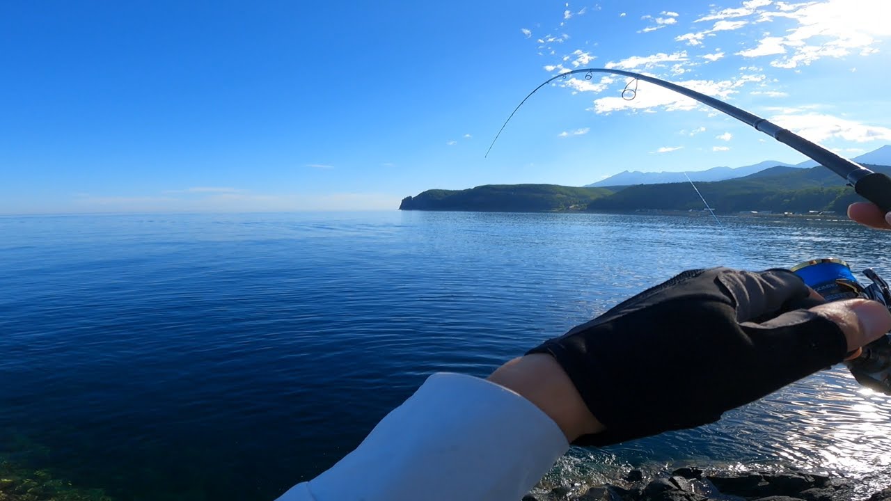 真夏なのになんでこんなに釣れるの？