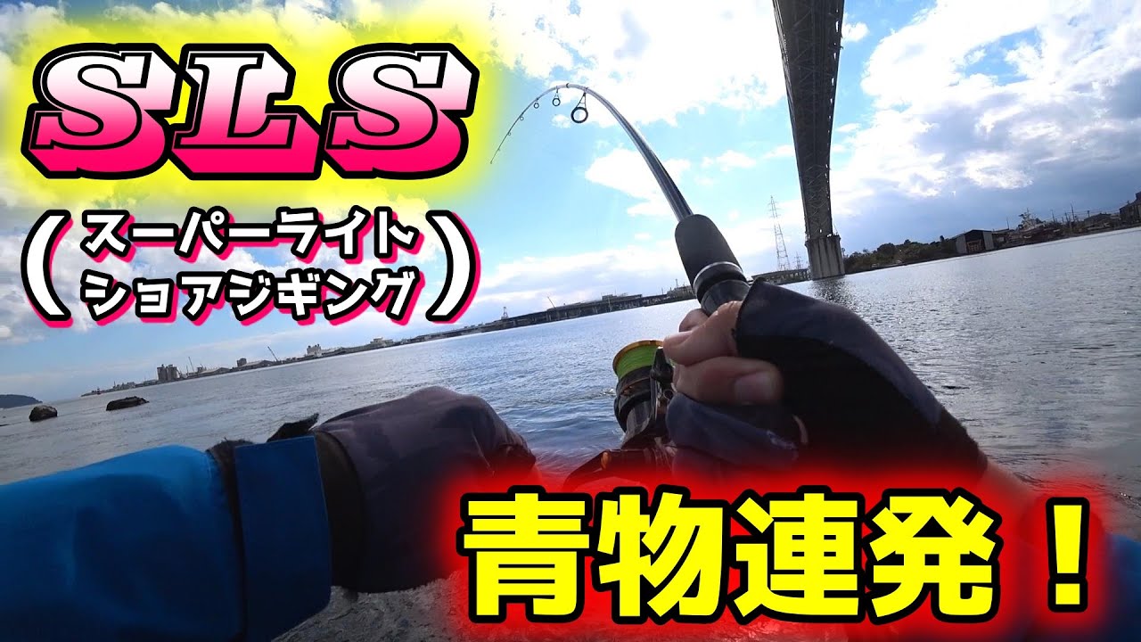 久しぶりにスーパーライトショアジギングしたら青物連発でドラグが鳴りまくる【ダイソーロッド+ジグサビキ】
