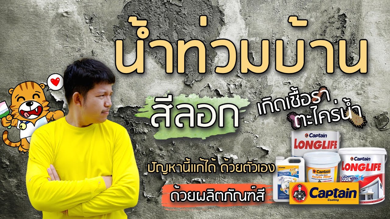 วิธีแก้ไข ผนังสีลอกล่อน ผนังเกิดเชื้อรา | CAPTAIN LONGLIFE
