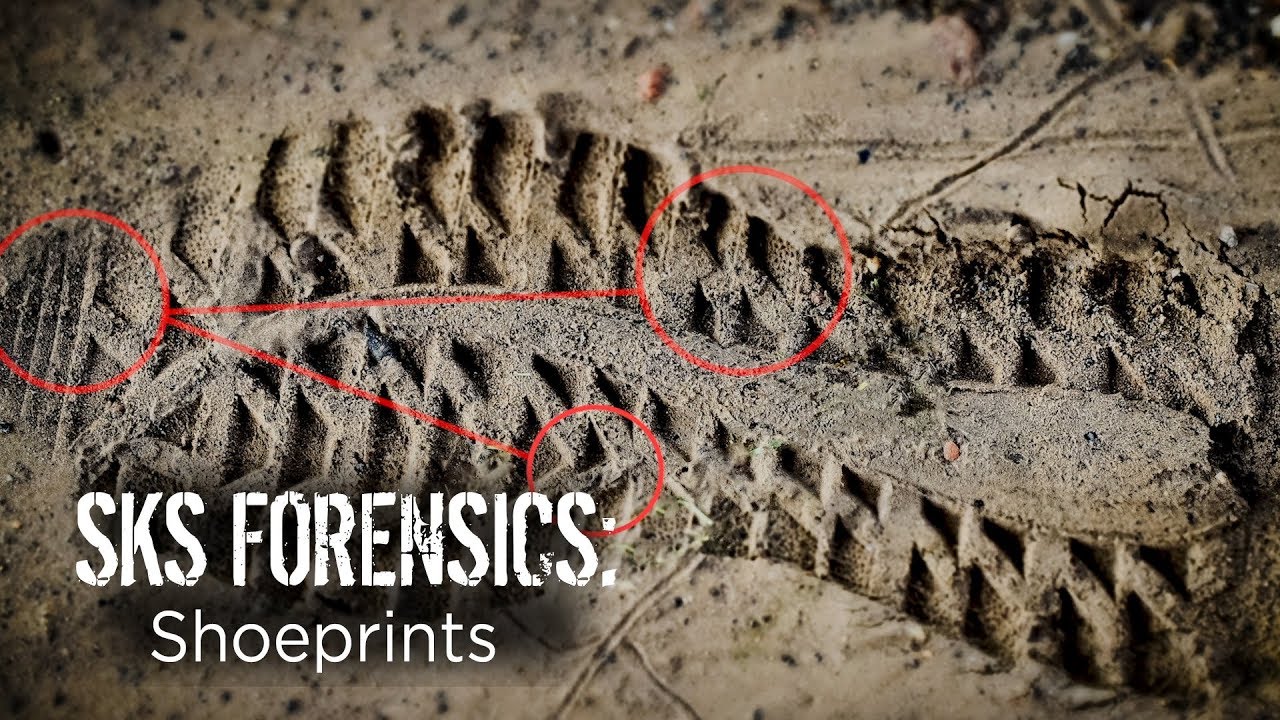 How true detectives uncover hidden shoe prints gain evidence | SKS Forensics: Shoeprints