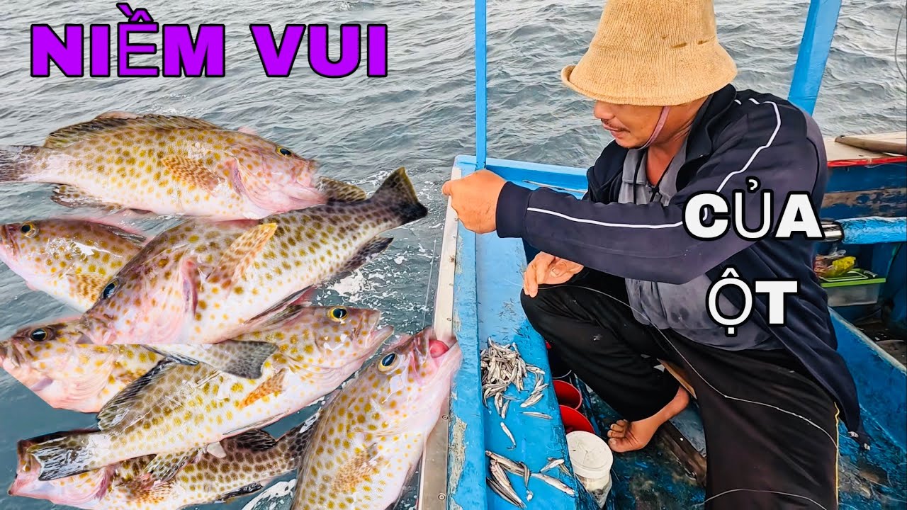712 ) NEO TRÚNG HANG Ổ CỦA CÁ MÚ, ỘT THA HỒ KÉO.