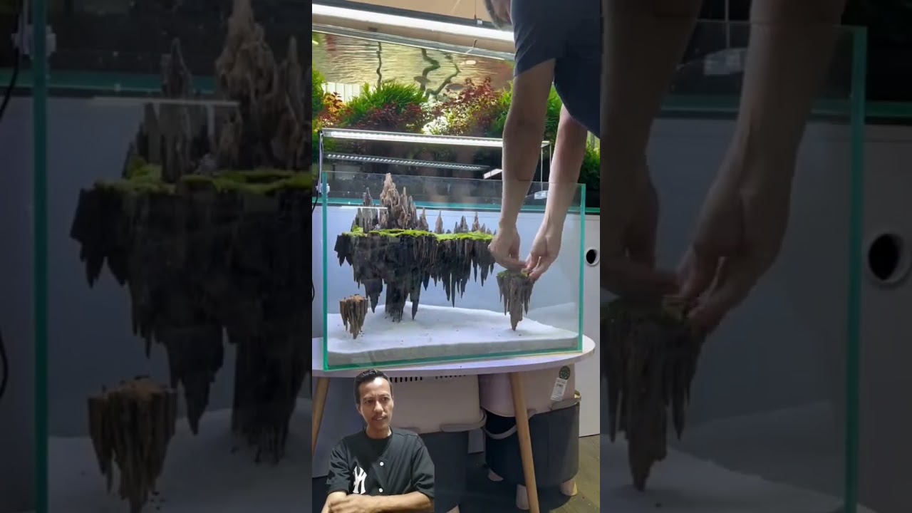 AQUASCAPE TEMA AVATAR YANG LAGI VIRAL (DI UNGGU KOMEN TERBAIK KALIAN) #aquarium #aquariumaquascape