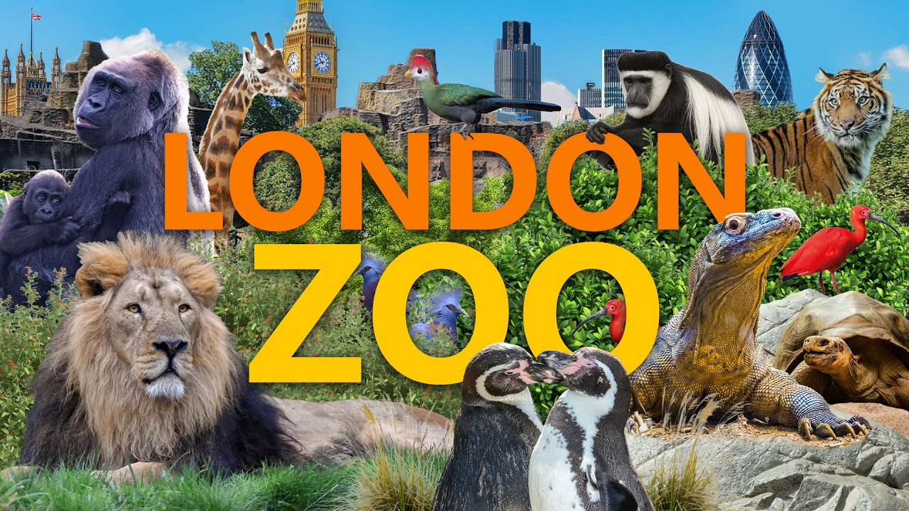 Zoo London im Check: Lohnt sich der Besuch? | Zoo-Eindruck