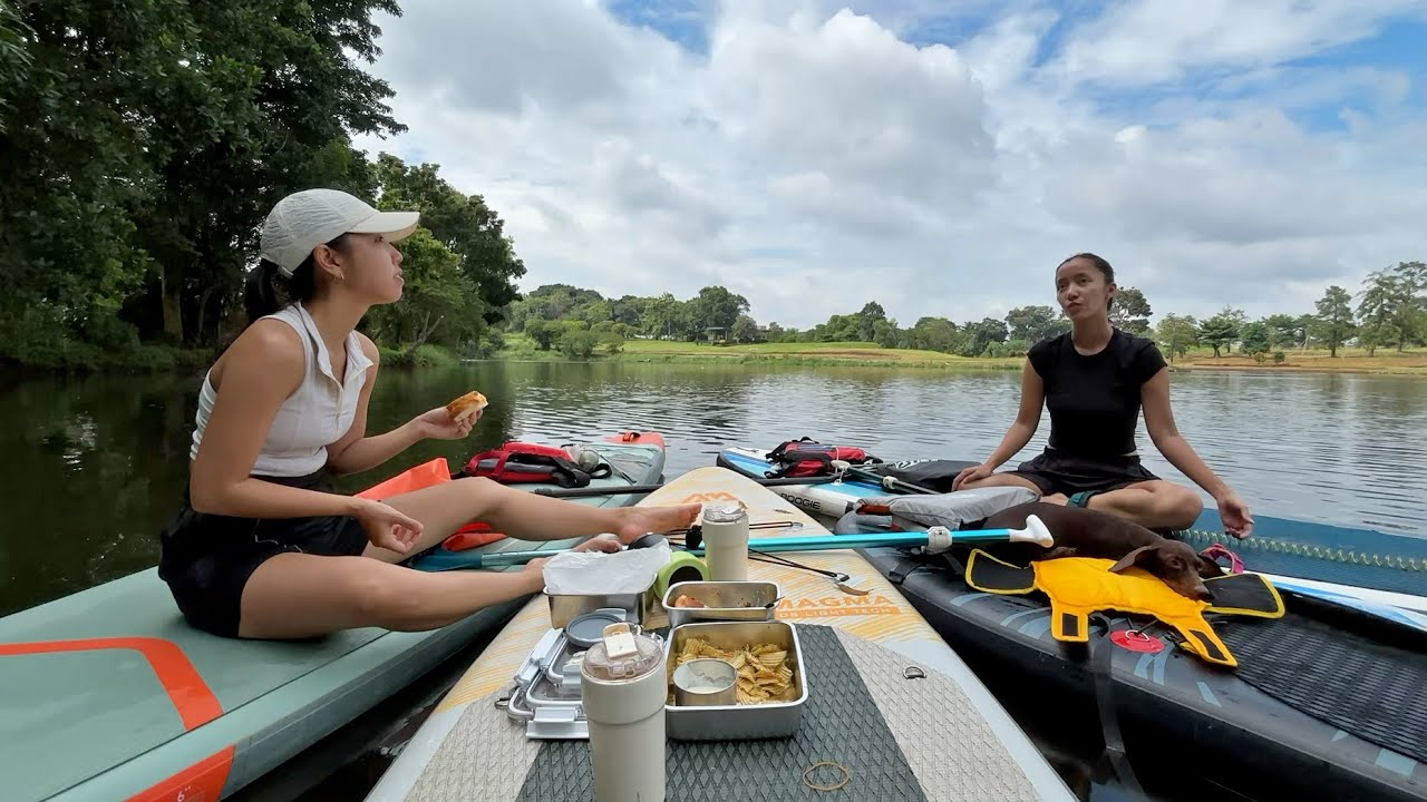 Anything and Everything | Stand Up Paddle Board Recreation with Dog — from Trip, Yoga, to Picnic