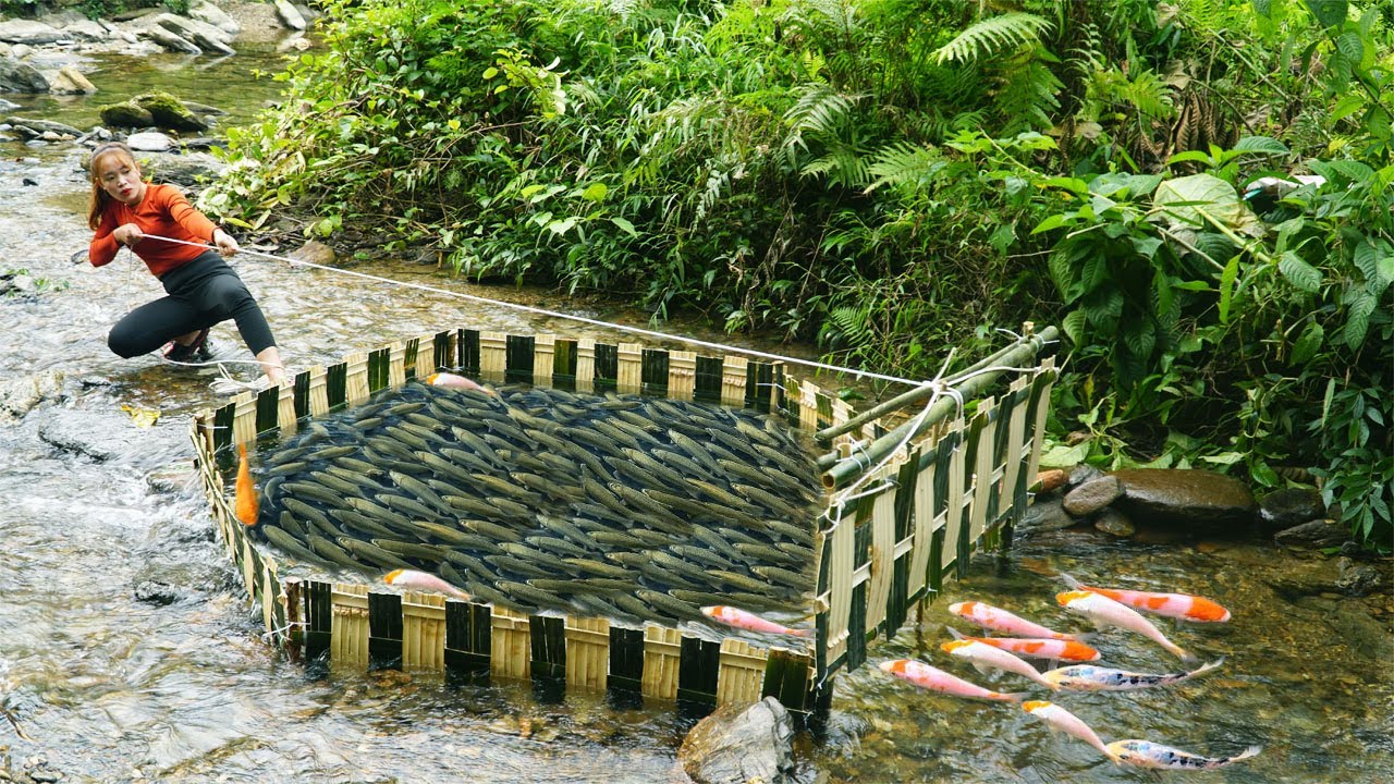 I Made A Simple Fish Trap From Bamboo - Harvesting 50kg A Lot Of Big Fish