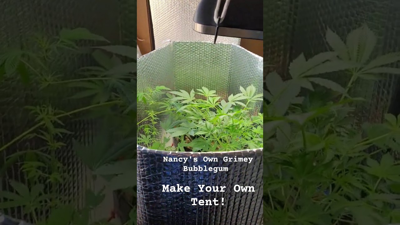Home Made 1 x 2 Grow 