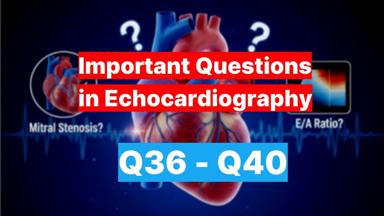 (8) Important Questions in Echocardiography (Q36 - Q40)