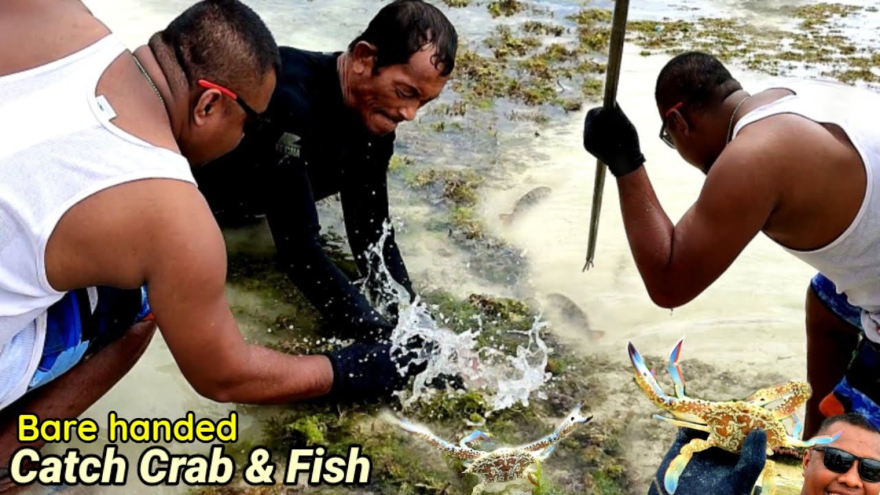 BULE INI GAK MAU PULANG berburu KEPITING & IKAN nekat pakai Tangan Kosong 😱