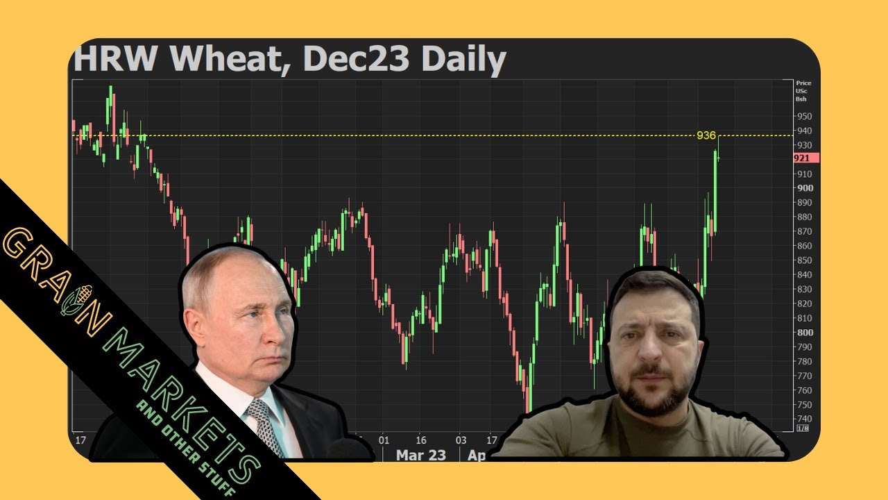 LIMIT UP! Wheat Prices Rally to Multi-Month Highs