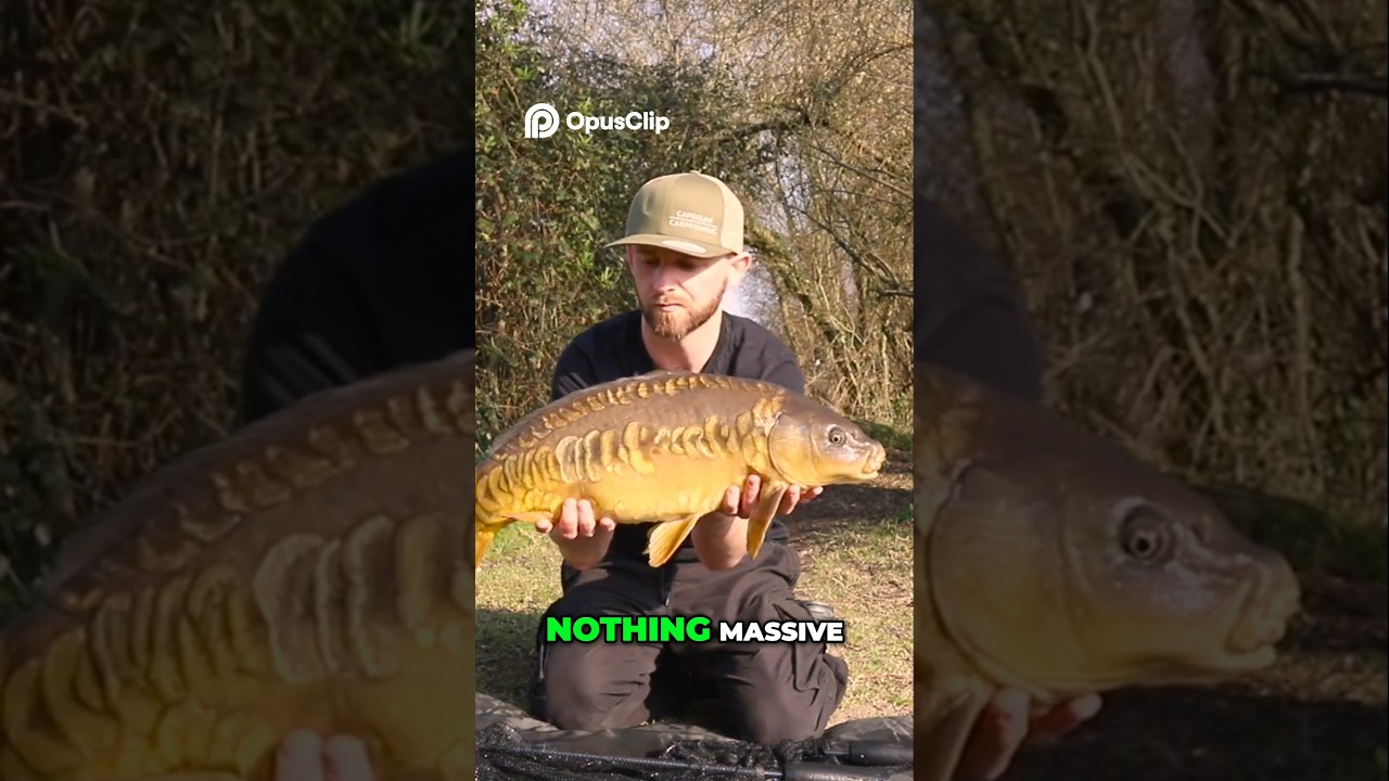 How to handle a #carp #carpfishing #fishing #freshwaterfish #bigcarp #fish @Decathlon_fishing
