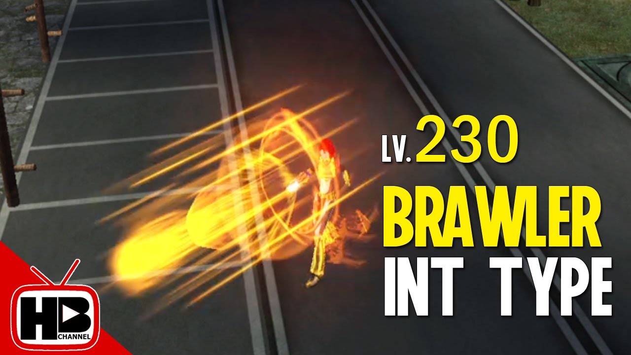 Ran Online Skills -  Int Type Brawler (Lvl.  230)