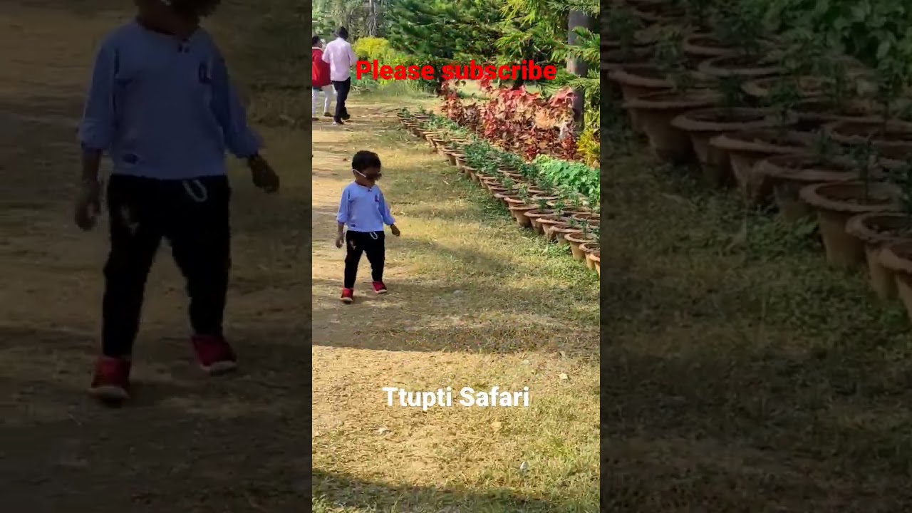 #Keonjhar #Truptisafari #odisa #anilvlog #famous  #tourist #place #Anilvlog #Anilvlog #shorts