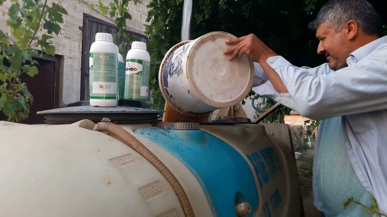 Dolu sonrası üzümleri tamir için bakırlı ilaçlama