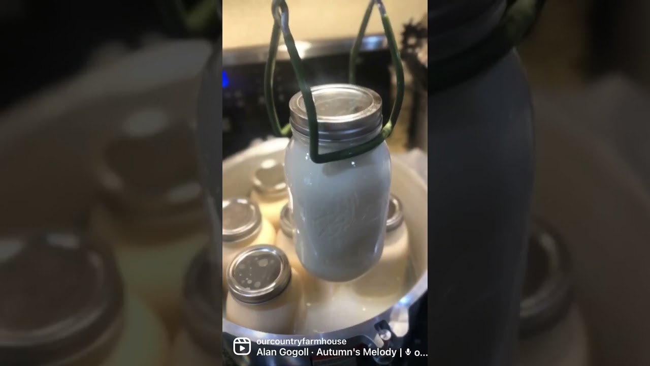 Pressure Canning Milk