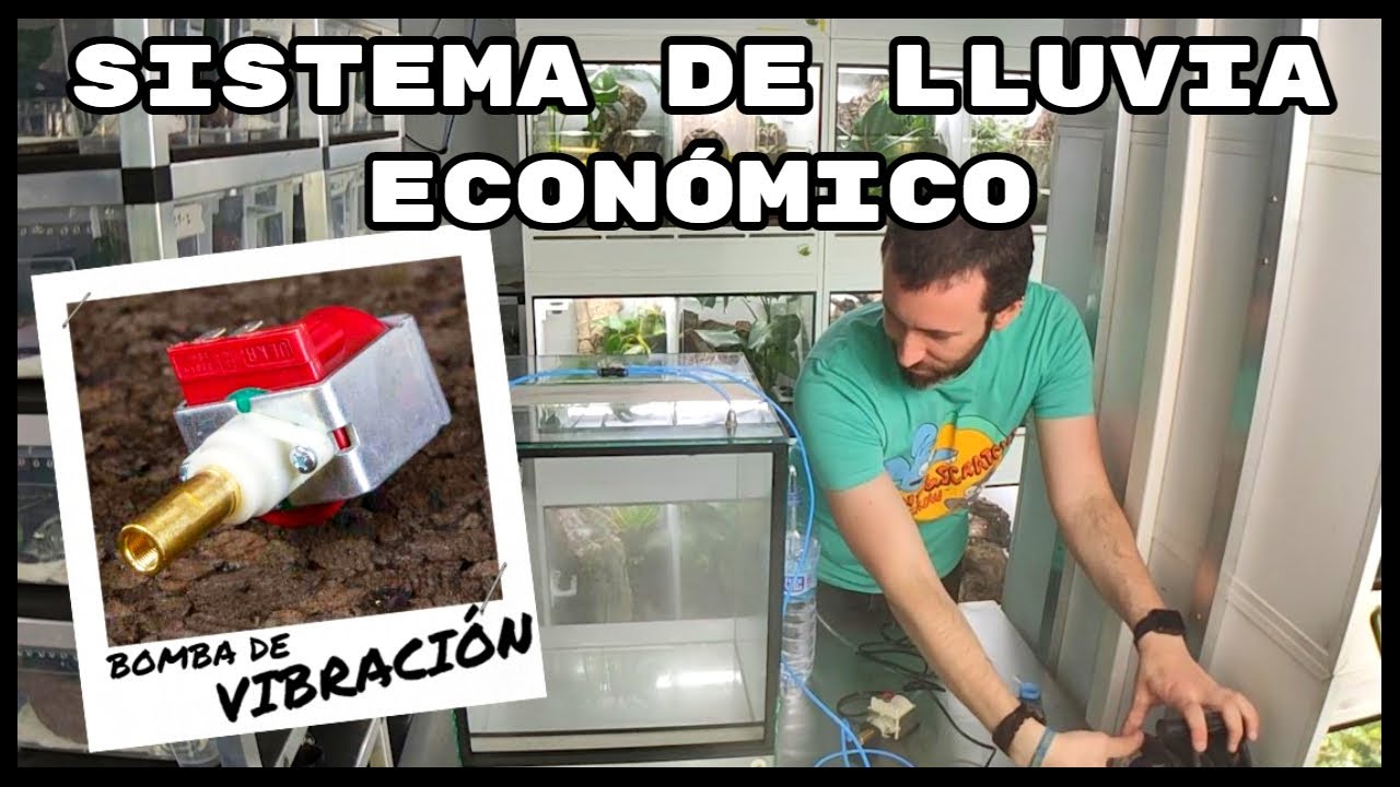 🦎🚿 INSTALAR SISTEMA DE LLUVIA 🚿 ECONÓMICO PARA TERRARIOS - BOMBA DE VIBRACIÓN | KANAKY TERRARIA