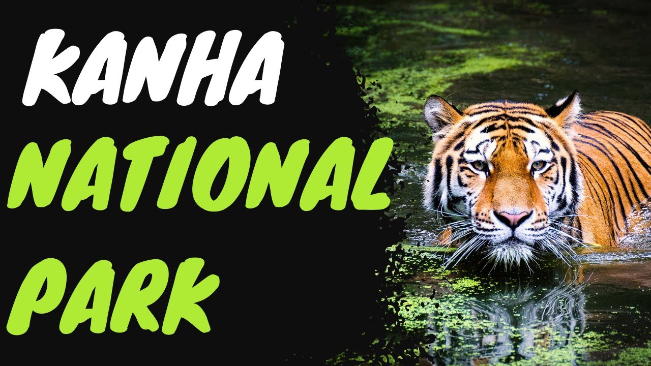 TIGER | KANHA NATIONAL PARK | VLOG | TIGER DIKHA KYA ? KANHA NATIONAL PARK VLOG