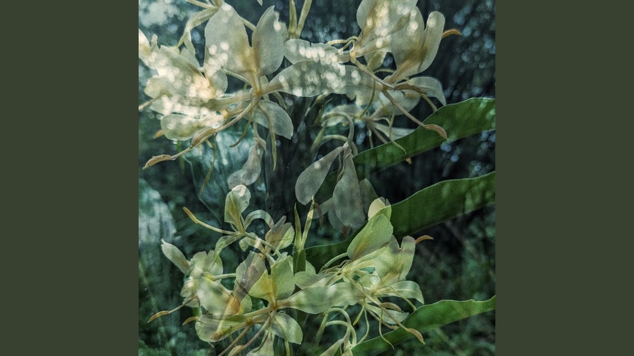Cenizas
