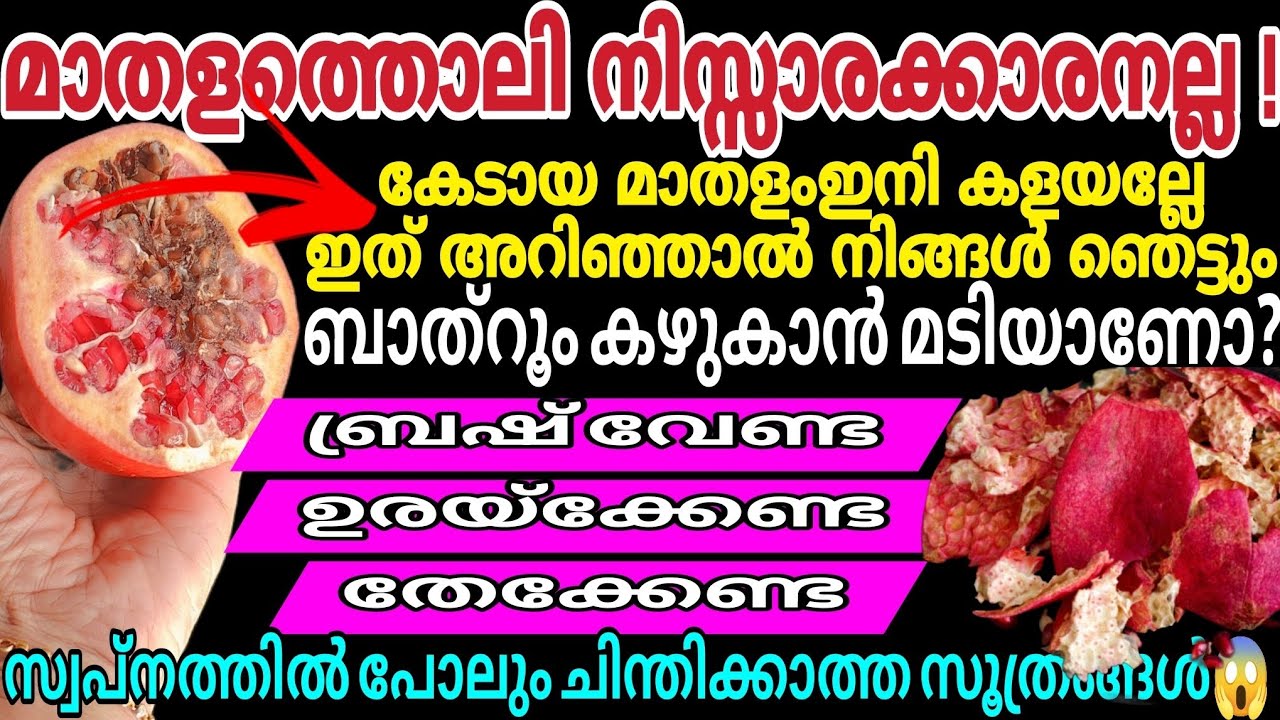മാതളത്തൊലി നിസ്സാരക്കാരനല്ല | ബാത്റൂം കഴുകാൻ മടിയാണോ | മാതള തൊലികൊണ്ട് ഒരു പിടിtips ശരിക്കും ഞെട്ടും