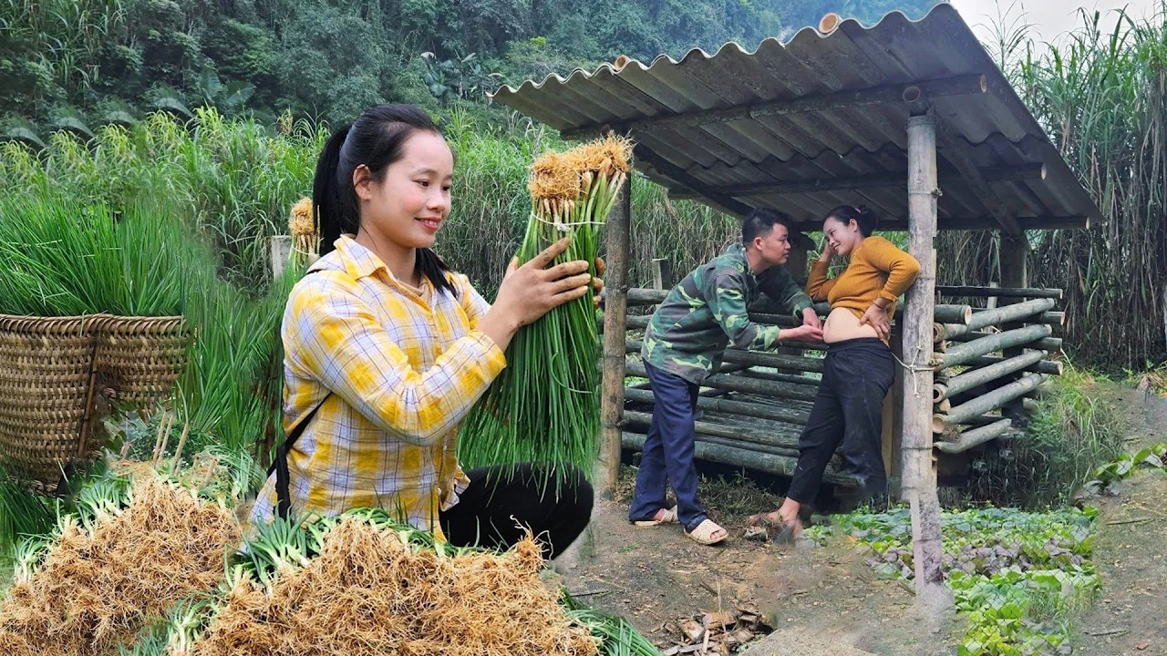 Rural Life Means Picking Fresh Onions and Catching Chickens to Sell at the Busy Market