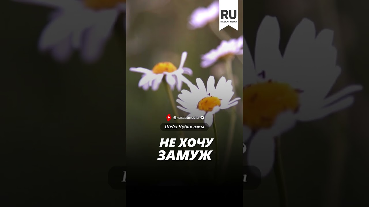 Не хочу замуж. #насаат_медиа #rec #rek #film #шейх #live #чубакажы #ислам #shortvideo #shorts  #sabr
