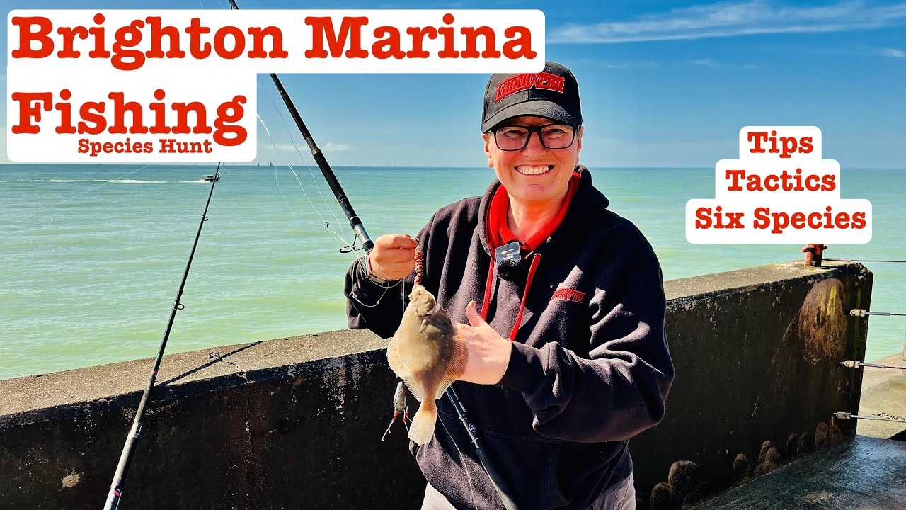 Brighton Marina Fishing: East Wall, Plaice and Other Species