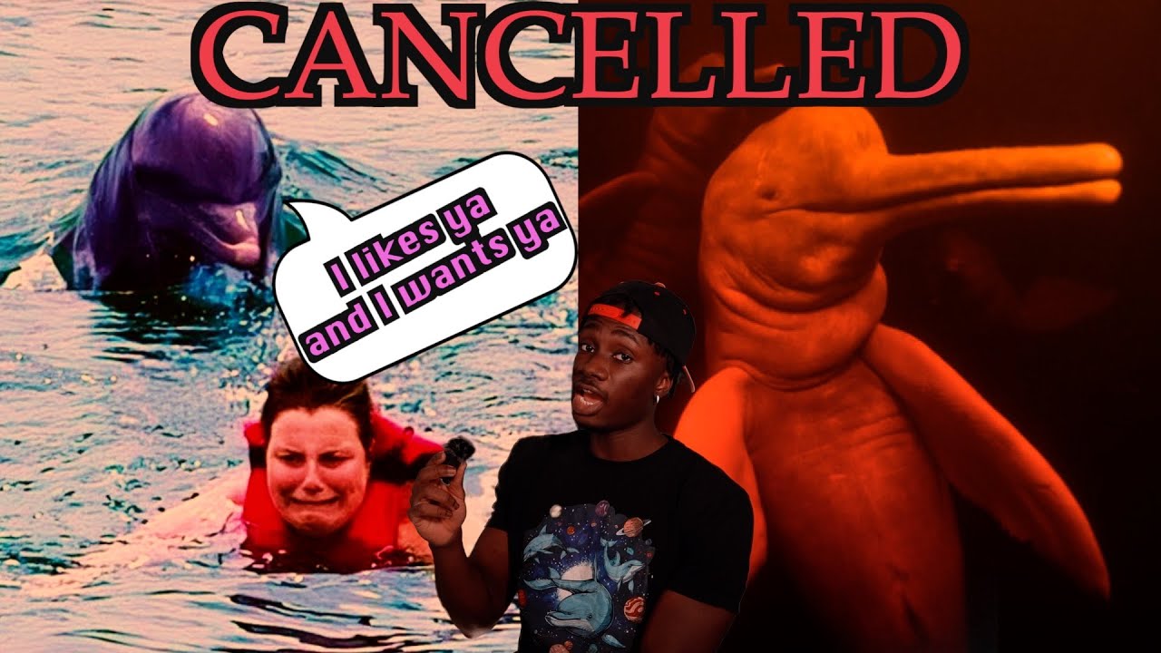 The Truly Disturbing Reality of Dolphins