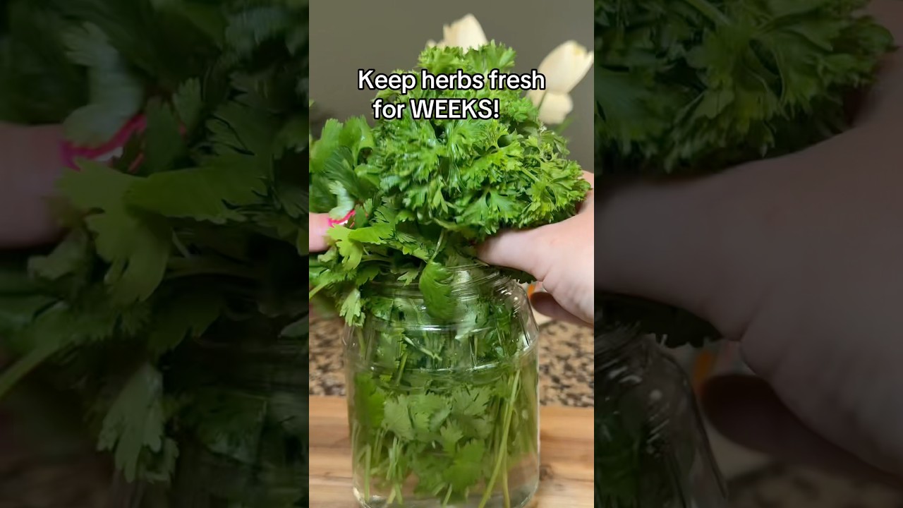 #KitchenHack